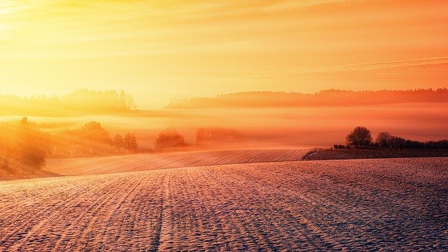 Co nowego na stronie między miedzami? przegląd najnowszych artykułów