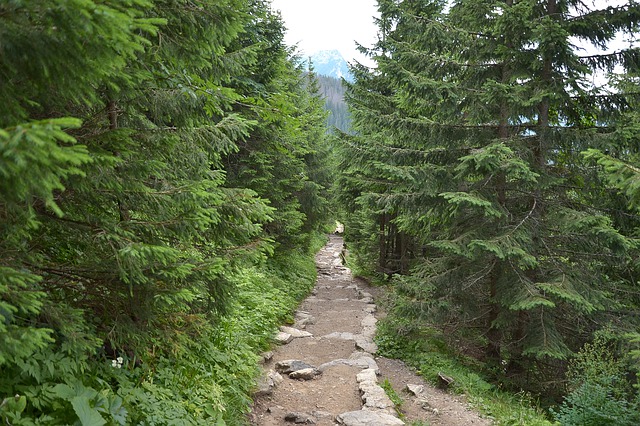 Noclegi w zakopanem z widokiem na giewont - co wybrać? Zakopane – serce tatr