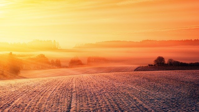 Cezaro 574 sc w praktyce – niezawodne metody ochrony roślin